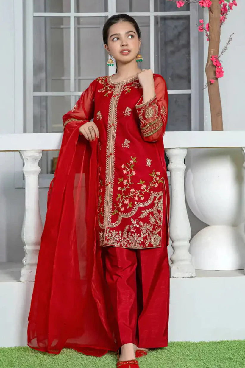 3 Piece Red Embroidered Organza Suit with Elegant Trouser – T-FORT-002