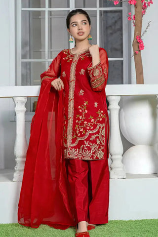 3 Piece Red Embroidered Organza Suit with Elegant Trouser – T-FORT-002