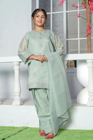 3 Piece Mint Green Embroidered Organza Suit with Farshi Shalwar – T-FORT-005