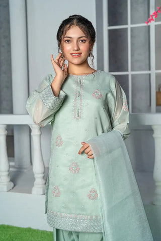 3 Piece Mint Green Embroidered Organza Suit with Farshi Shalwar – T-FORT-005