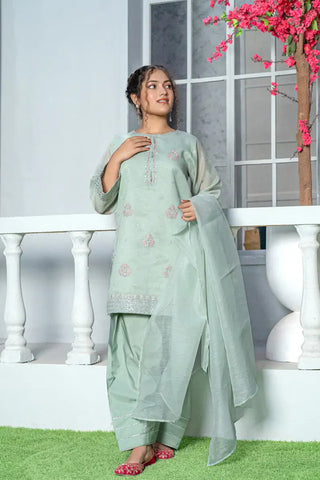 3 Piece Mint Green Embroidered Organza Suit with Farshi Shalwar – T-FORT-005