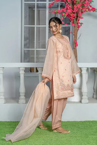 3 Piece Soft Peach Embroidered Indian Zari Organza Suit with Farshi Shalwar – T-FORT-006