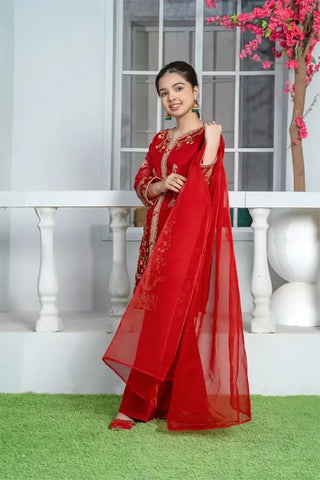 3 Piece Red Embroidered Organza Suit with Elegant Trouser – T-FORT-002
