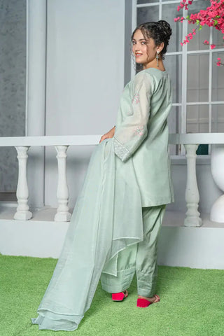 3 Piece Mint Green Embroidered Organza Suit with Farshi Shalwar – T-FORT-005