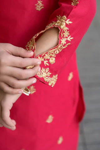 Aysel-3 – Pink Embroidered Lawn Kurta Set for Girls