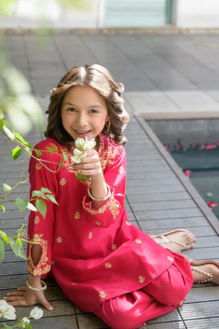 Aysel-3 – Pink Embroidered Lawn Kurta Set for Girls