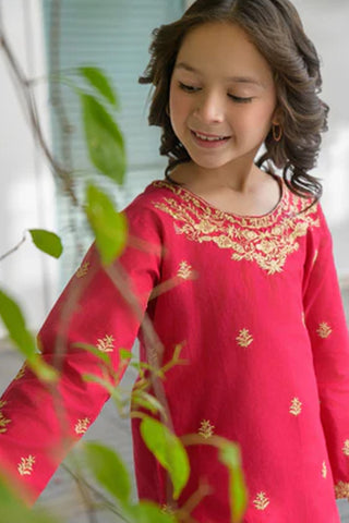 Aysel-3 – Pink Embroidered Lawn Kurta Set for Girls